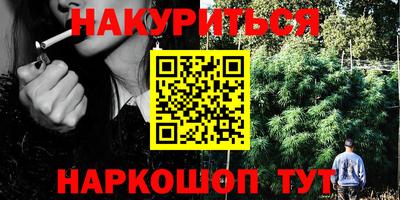 ECSTASY Камышлов