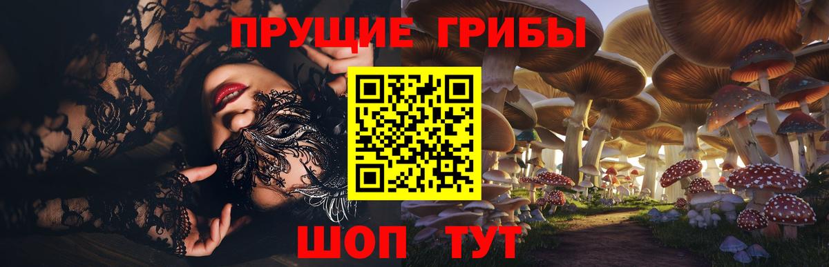 Кузнецк  Псилоцибиновые грибы ЛСД  Вход с VPN 